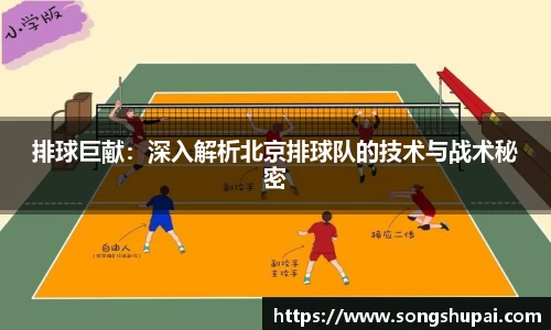 排球巨献：深入解析北京排球队的技术与战术秘密